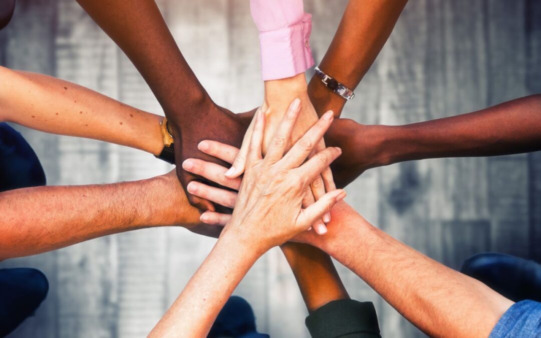 Our skills and experience diversity
